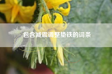 包含減震調整墊鐵的詞條